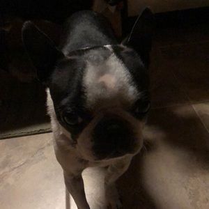 Meet your Posher, Kim